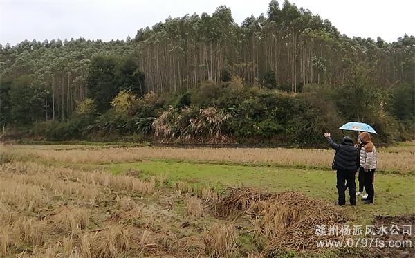 嘉义县陈老师带着爱徒寻龙点穴